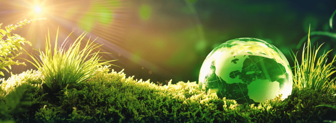 Unlock Savings:  Sustainability in Freight Securement 