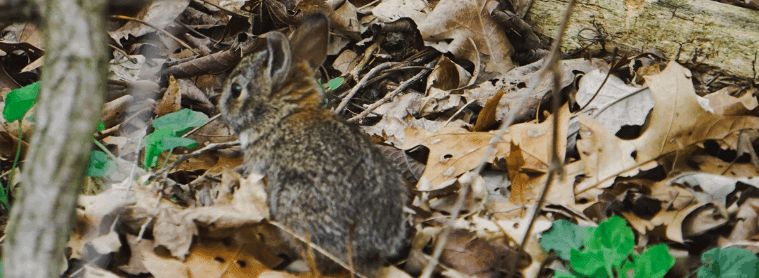 Logistick and SPI Team Up for Local Trail Cleanup to Support Environmental Stewardship